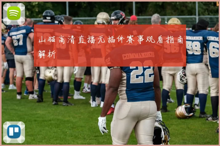 山猫高清直播无插件赛事观看指南解析