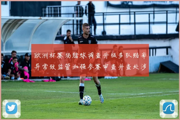 欧洲杯赛场赌球调查升级多队赔率异常致监管加强参赛审查并查处涉赌人员