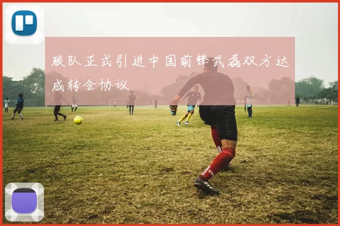 狼队正式引进中国前锋武磊双方达成转会协议