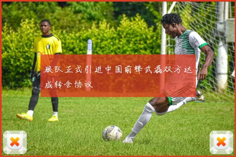 狼队正式引进中国前锋武磊双方达成转会协议