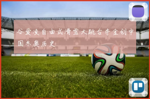 谷爱凌自由式滑雪大跳台夺金创中国冬奥历史