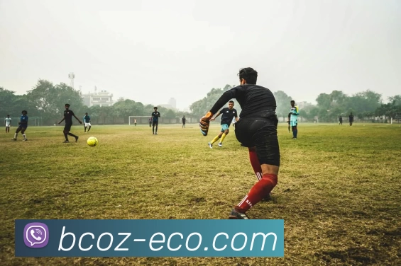 安博官网官方APP 体育赛事宣传图